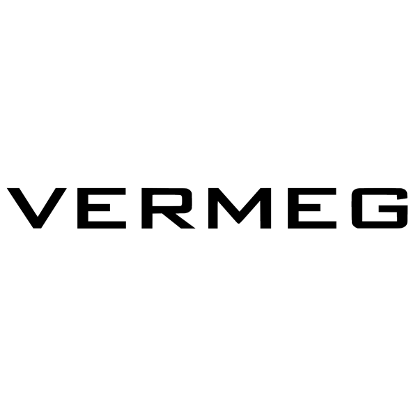 VERMEG_logo